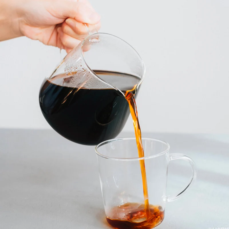Carafe Hario - Purus 600ml